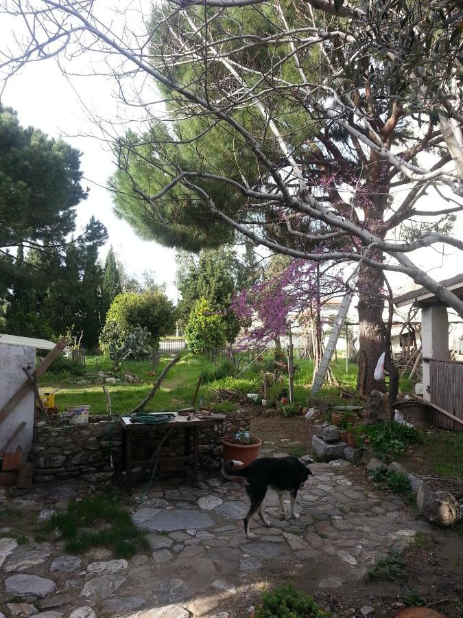 Ecer Pansiyon Kusadası Eksteriør bilde